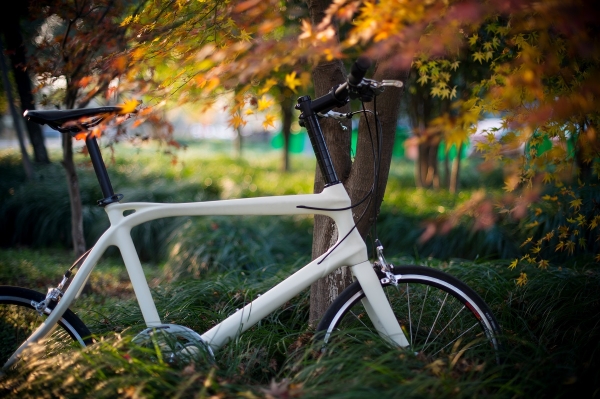 2015年 ，自行車2.0時代