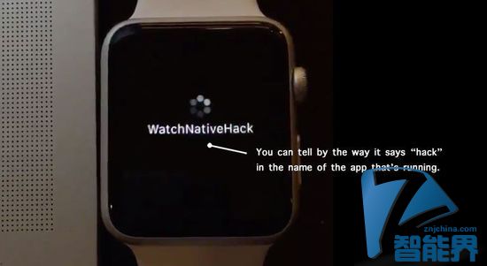Apple Watch SDK被黑？