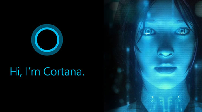 你一定不知道，Cortana 背后的槍手是這些人……