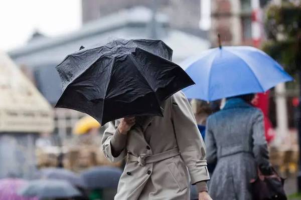 共享雨傘頻獲融資，是真機會還是偽需求？